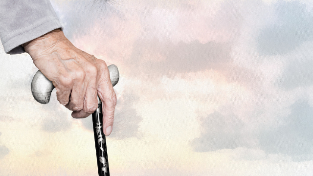 Old Age Security (OAS) A Comprehensive Guide