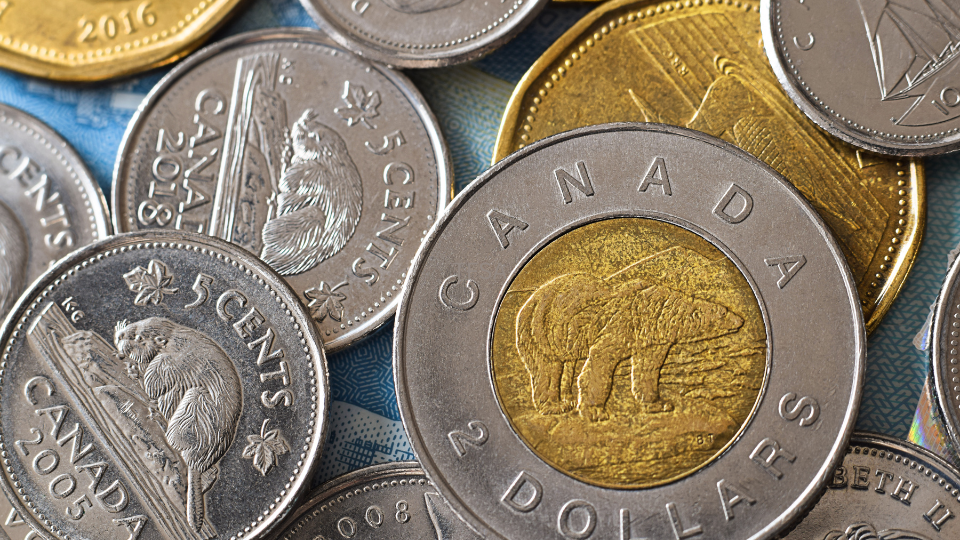 TFSA Tips